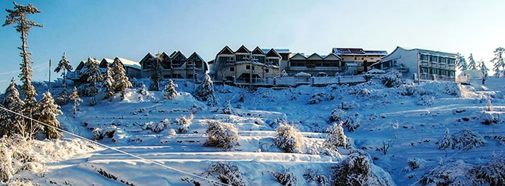 1479/Koti Resort - Shimla 17.jpg
